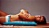 Prickly Pad Acupressure Mat - 15" x 27" SWATCH
