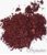 Signature Minerals Eye Shadow Powder SWATCH