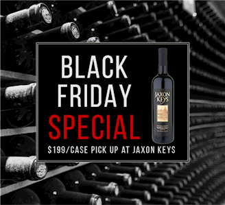 $199 | BLACK FRIDAY CASE MAIN