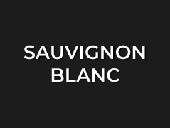 Sauvignon Blanc