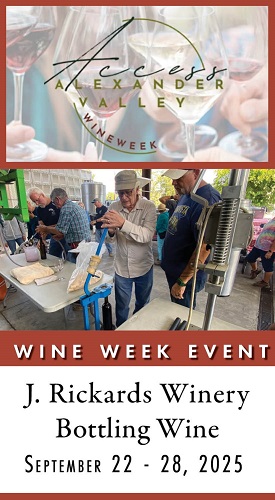 AVW - Wine Bottling MAIN