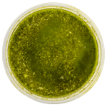 Side Basil Pesto Dip THUMBNAIL