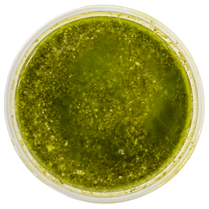 Side Basil Pesto Dip MAIN