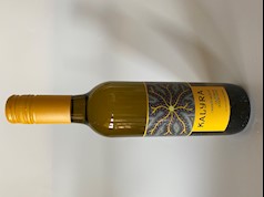 Orange Muscat LARGE