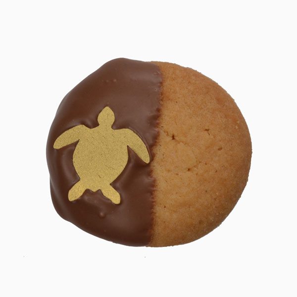 Sea Life Hand Dipped Chocolate Covered Singles THUMBNAIL
