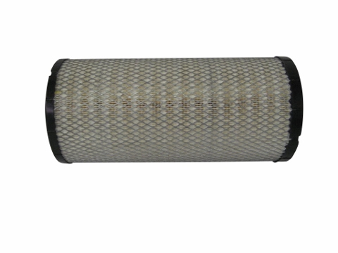 Air Filter 006000789F1 MAIN