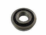 Bearing NUP307E SWATCH