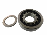 Bearing NUP307E SWATCH