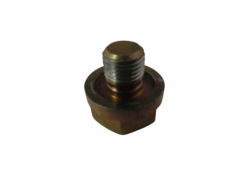 Bevel Screw Plug 304.31.152 SWATCH