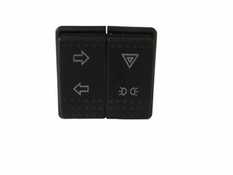 Switch Light 9480044BBS MAIN