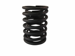 Valve Spring Pair TY295.1-3-4 THUMBNAIL