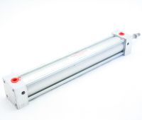 Cylinder, Advance, Double Cushion, 120 X 7 MAIN