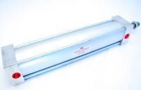 Cylinder, Advance, Rear Cushion, 490 X 10 MAIN