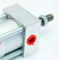 Bimba Mango Piston 300 x 8 MAIN