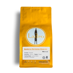 Honduras Hermanas Alvarado FTO 12oz SWATCH