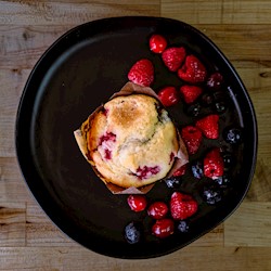 Mixed Berry Vegan Muffin THUMBNAIL