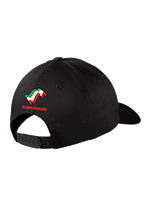 Carmelina Crew Snapback Hat SWATCH