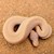 Juvenile Banana Pinstripe Ball Python SWATCH