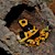 Frog - Dart/Bumble Bee (Dendrobates leukomelas) SWATCH