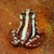 Frog -Dart/Phantasmal (Epipedobates tricolor "Santa Isabela") SWATCH