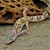 Albino Leopard Gecko (SubAdult) (Eublepharis macularius) SWATCH