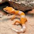 Leopard Gecko - Sunglow (Juvenile) (Eublepharis macularius) SWATCH