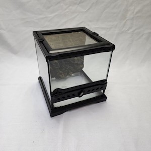 ExoTerra Terrarium Nano Wide (8" x 8" x 8") LARGE