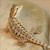 Bearded Dragon - Leatherback (Juvenile) (Pogona vitticeps) SWATCH