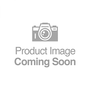 Leopard Gecko - Stripe/Reverse (SubAdult-Unsexed 0.0.1) (Eublepharus macularis).. LARGE