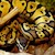 Pastel Ball Python (Juvenile) (Python regius) SWATCH