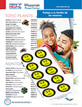 Protect Your Family from Poisons Packet (Spanish) THUMBNAIL