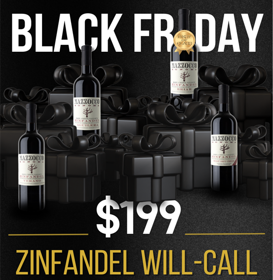 Black Friday Case MAIN