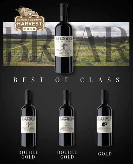 2025 Harvest Fair Gold Case MAIN