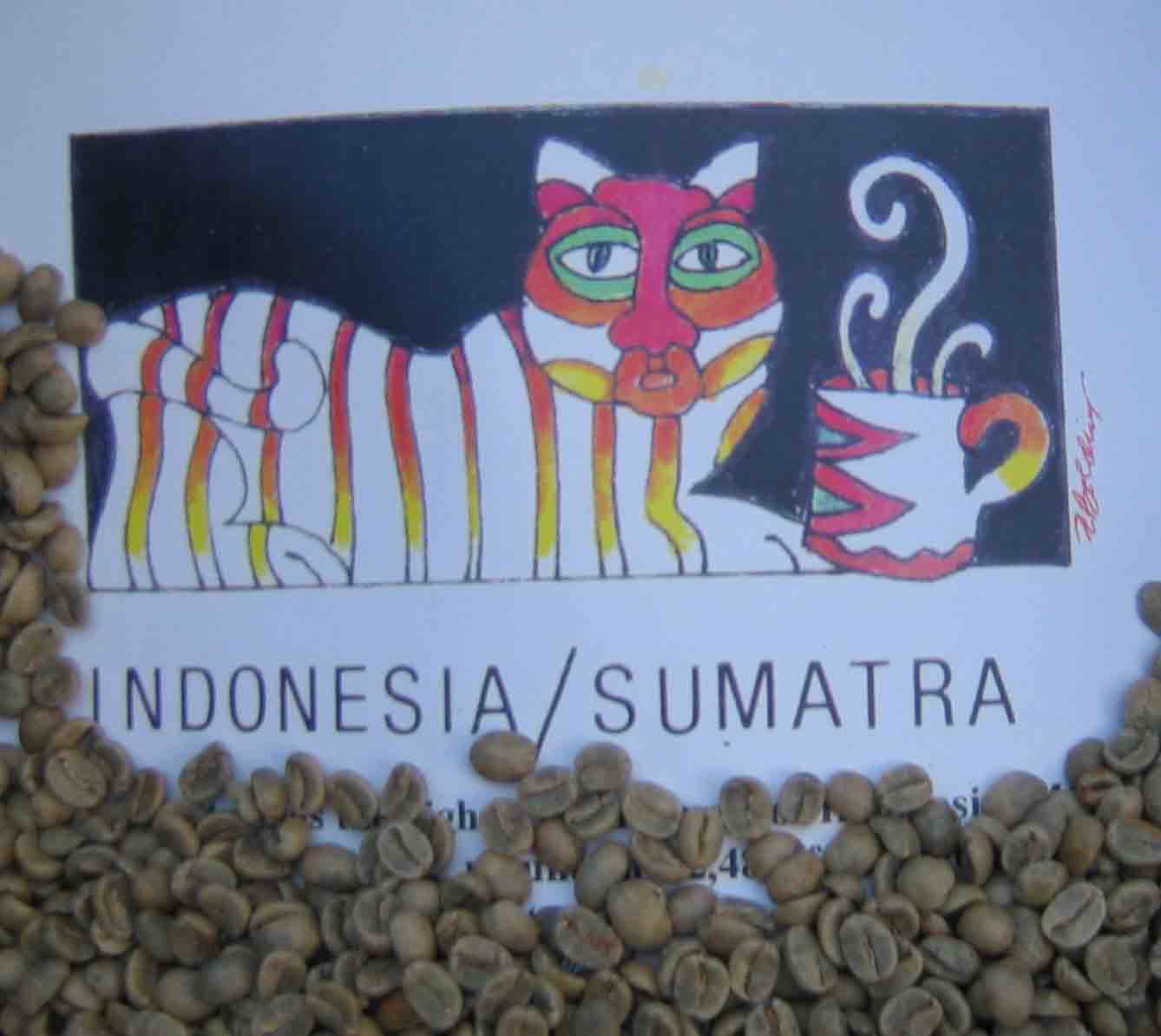 Green  Coffee Sumatra Black Panther Coffee THUMBNAIL