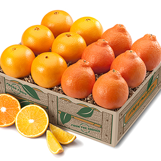 Honeybells & Navels LARGE