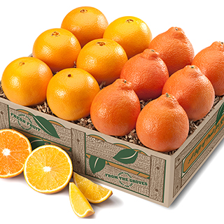 Honeybells & Navels MAIN
