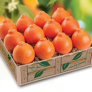 Minneola "Honeybells" LARGE