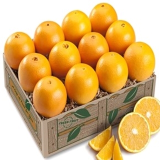 Navel Oranges LARGE