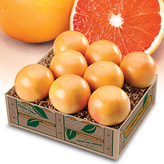 Red Grapefruit LARGE