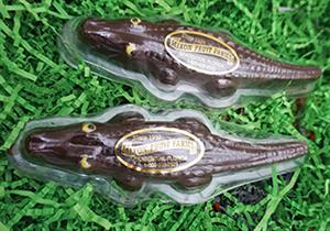 Add-in 2 Chocolate Gators LARGE
