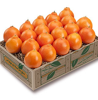 Petite Sweet Honeybells LARGE