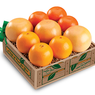 Variety Taster (9 Piece Tangerine, Navel, Red GF) LARGE