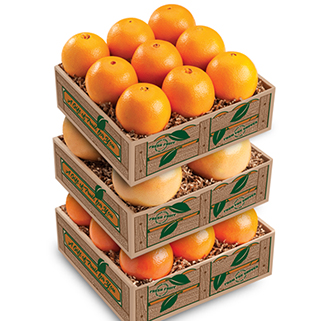 THE TASTER TOWER LARGE