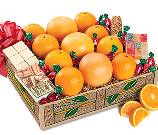 Favorites Collection LARGE