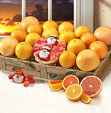 THE FLORIDA SUNSET THUMBNAIL