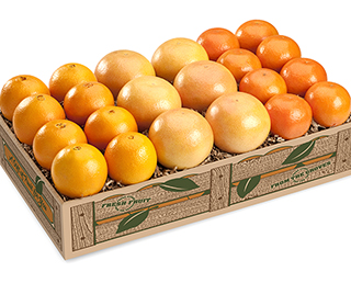 HOLIDAY GRAND SLAM LARGE