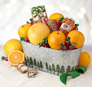 Evergreen Tree Tin LARGE