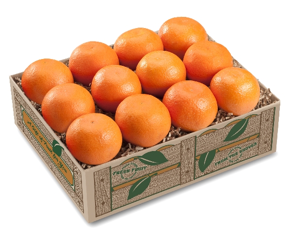 Satsumas LARGE