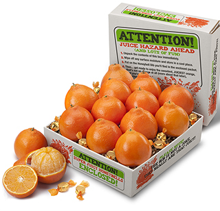 SUPER-JUICY HONEYBELL BIB BOX LARGE