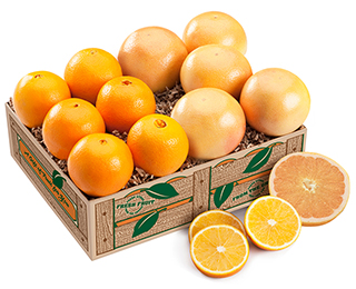 Navels & White Grapefruit LARGE